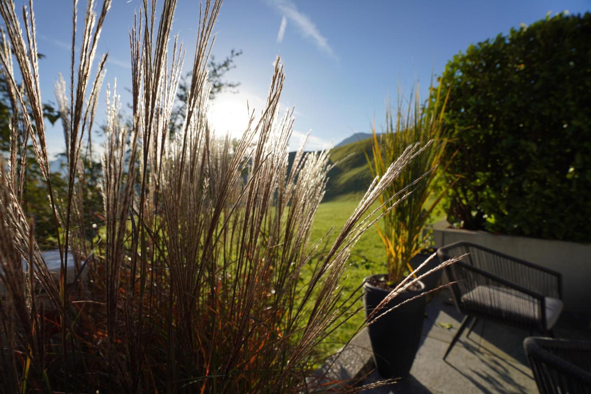 Mid Mountain Apartment Tirol Wiesing Bagian luar foto